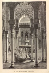 Neue universelle Geographie